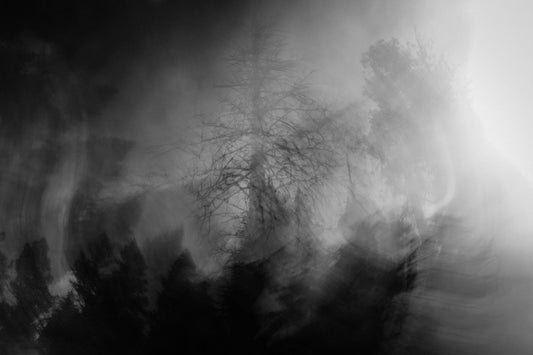 Shades of Gray