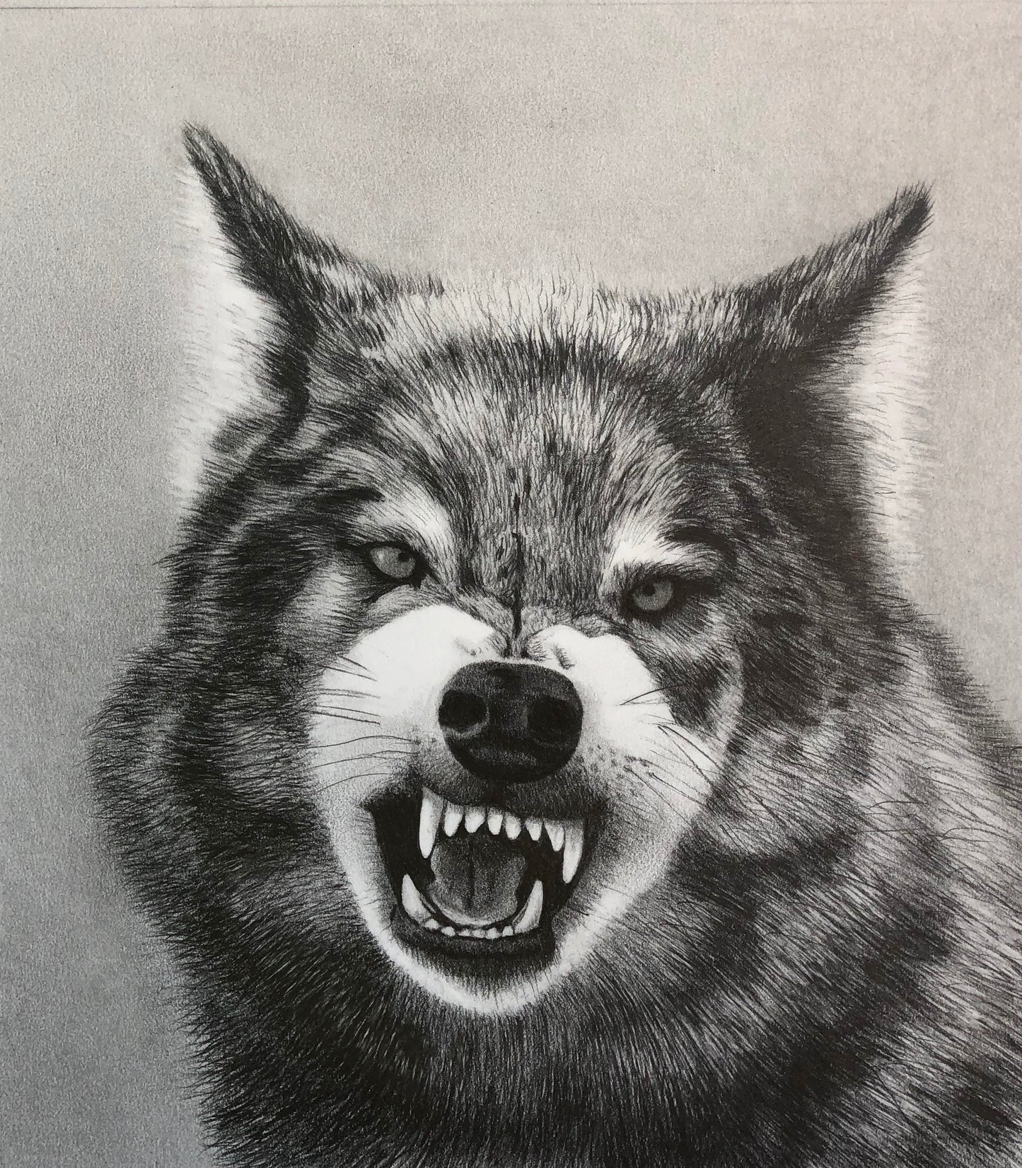 Snarling Wolf