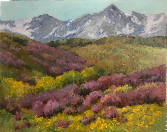Sneffels in Spring