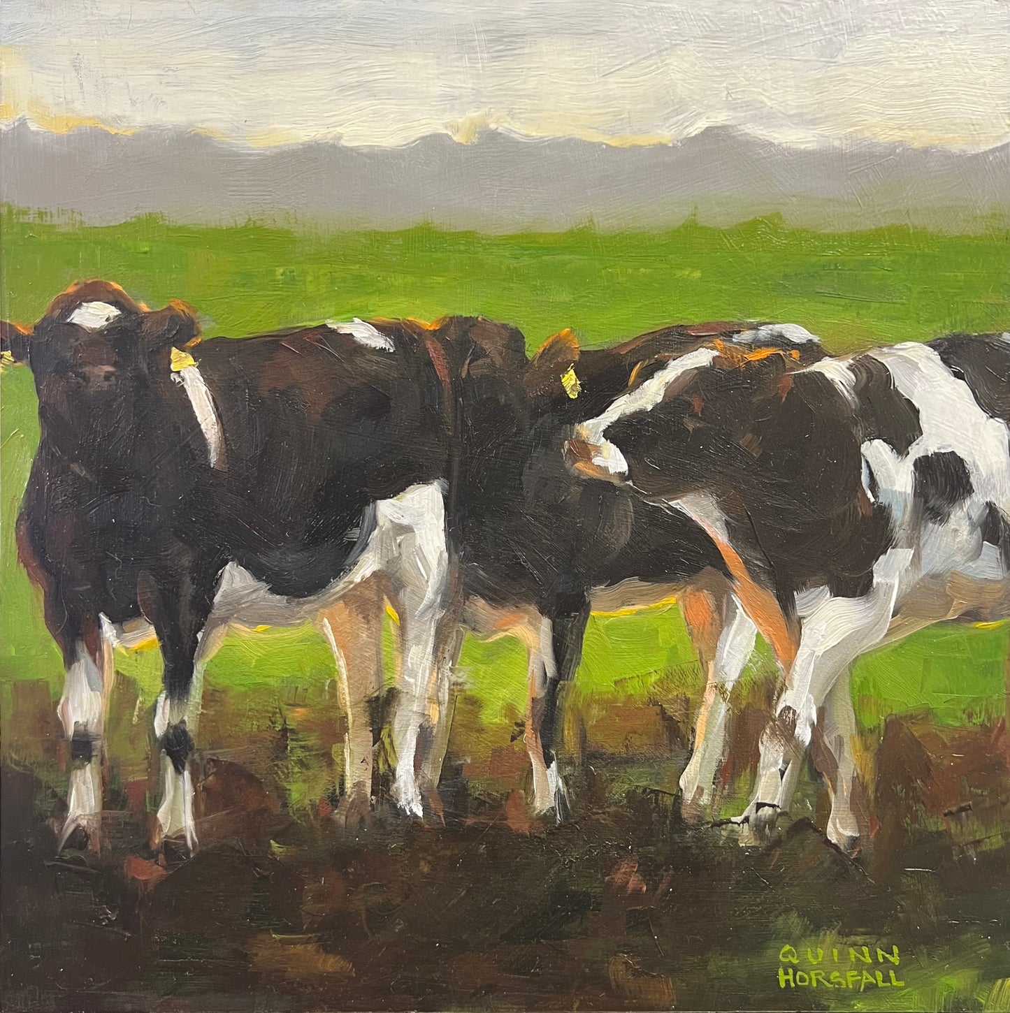 Sunlit Cows