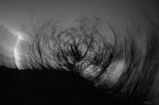The Chase