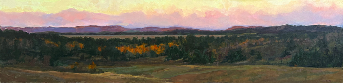 The Long View