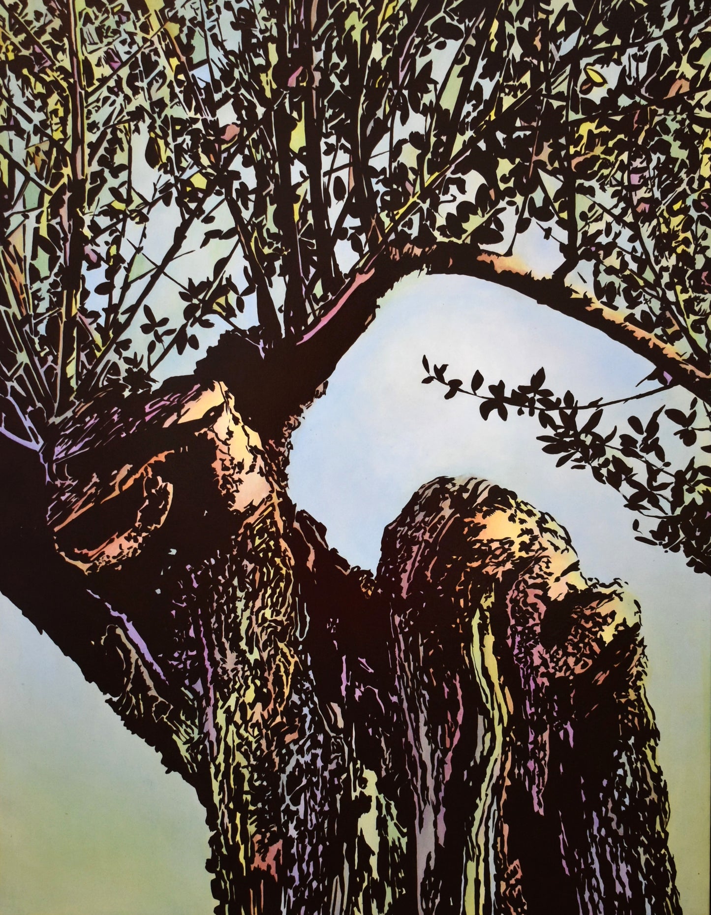 The Olive Branch