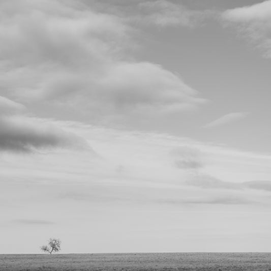 Resilience