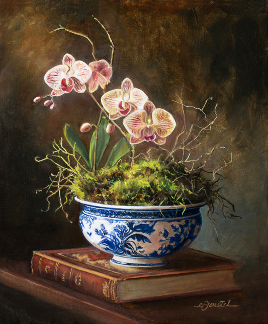 Where Stillness Begins