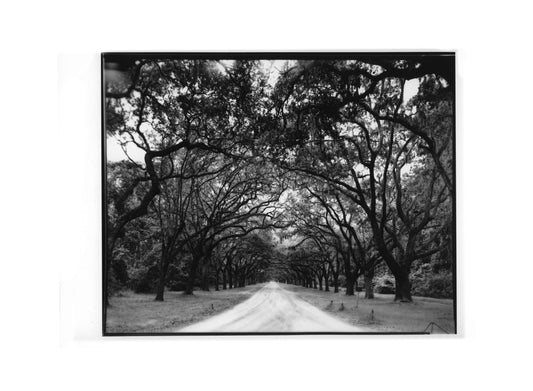 Wormsloe