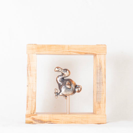 Dojo Dodo 2/15