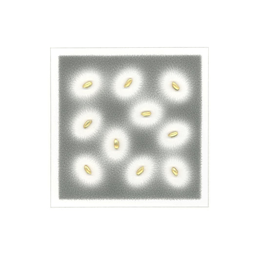 Notation 20-21 (for Boulder KS)