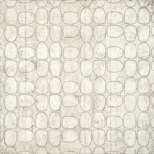 Letting the Light In